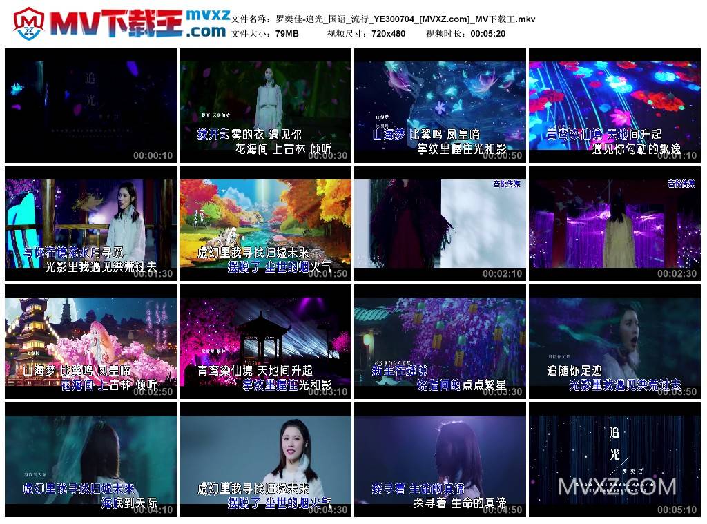 罗奕佳-追光_国语_流行_YE300704